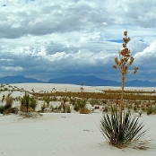 White Sands 09